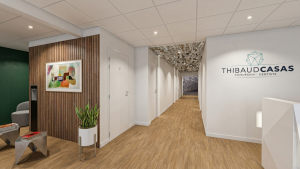 Ciryl BRIFAULT - CYRIL BRIFAULT - ARCHITECTURE D'INTERIEUR